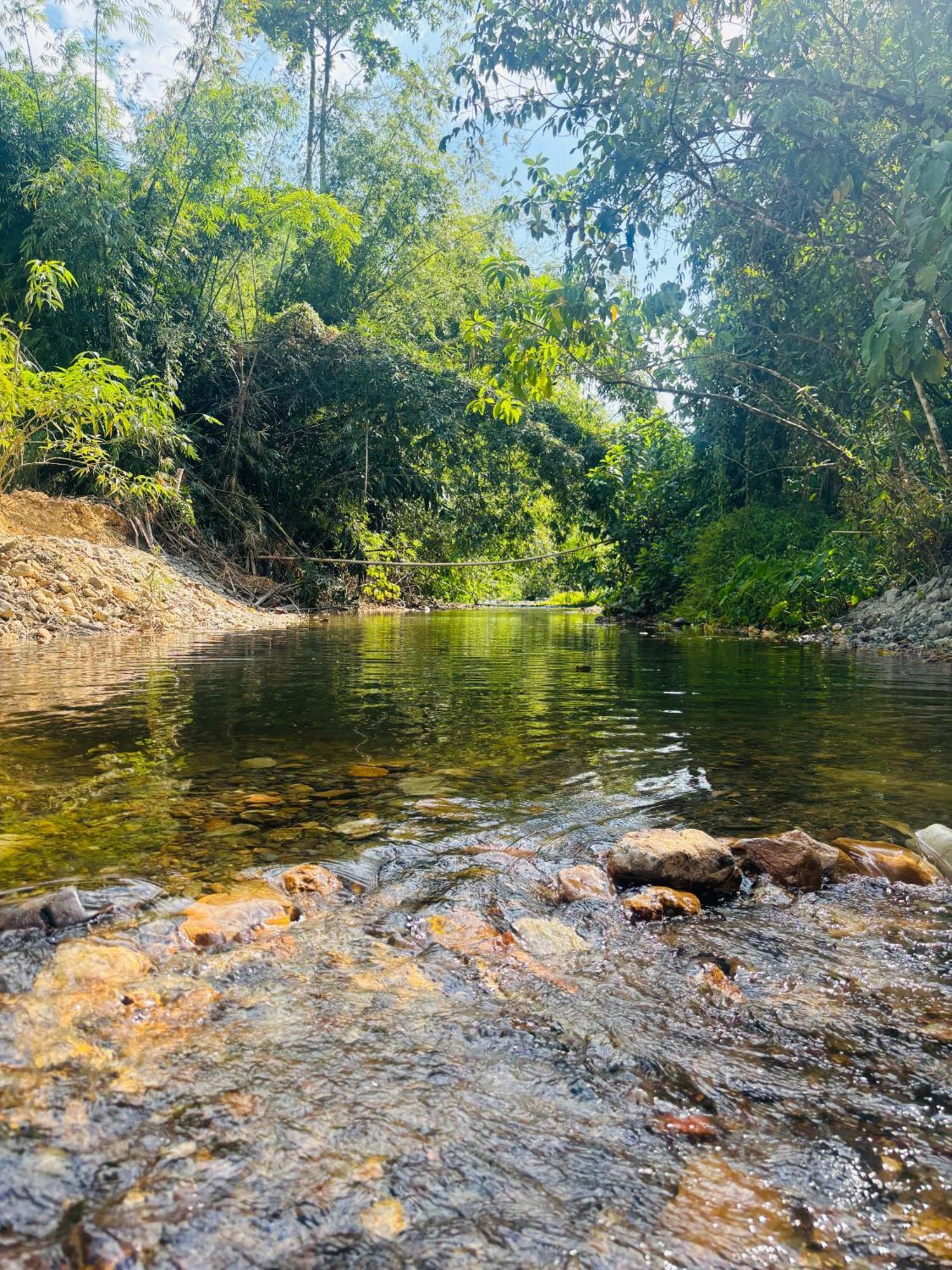 Camping Phutajoy Khaosok แคมป์ปิ้งภูตาจ้อยเขาศก Ban Thung Lang Tham Exterior foto
